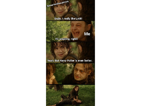 More Hp and Lotr memes