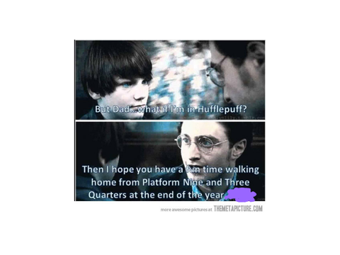 HP Memes