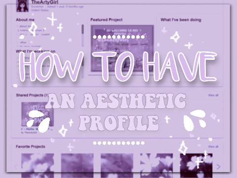 ☾˚₊· How to Have an Aesthetic Profile