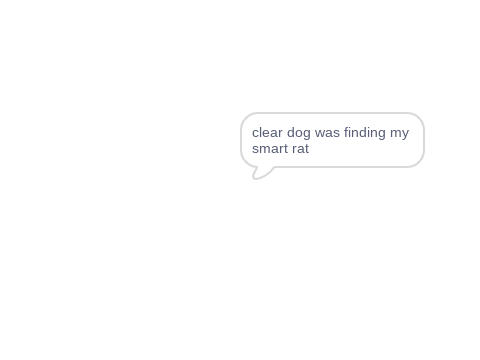madlibs