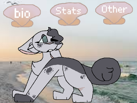 ↠ Streampaw <3 ↠
