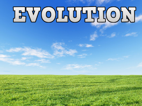 Evolution (V.01)