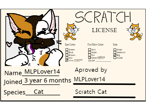Make Your Own Scratch License remix