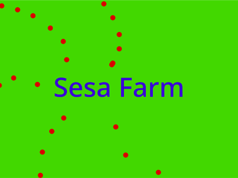 Sesa Farm 