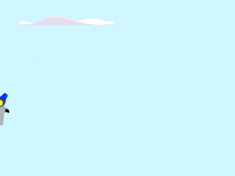 Flying Test