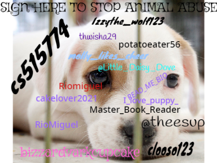 SIGN HERE TO STOP ANIMAL ABUSE  remix