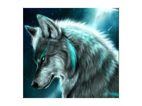 I love wolfs