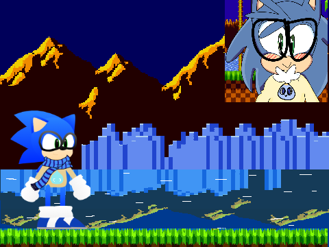 Logan The Hedgehog