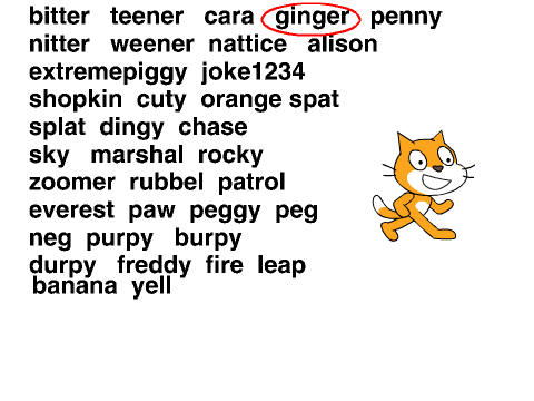 guess the cat remix