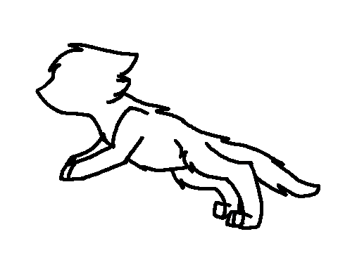Cat Run Cycle