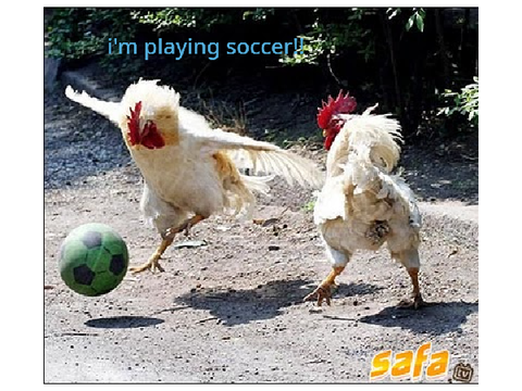 FUNNY ANIMALS!!!!!