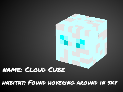 Design your own Magma Cube Entry