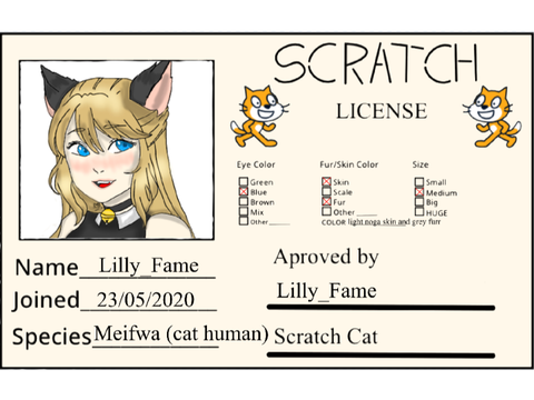 My Scratch License