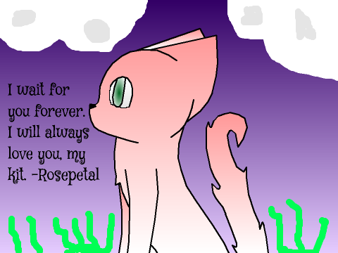 CC Entry (Rosepetal waiting for Blackstar in Galaxyclan)