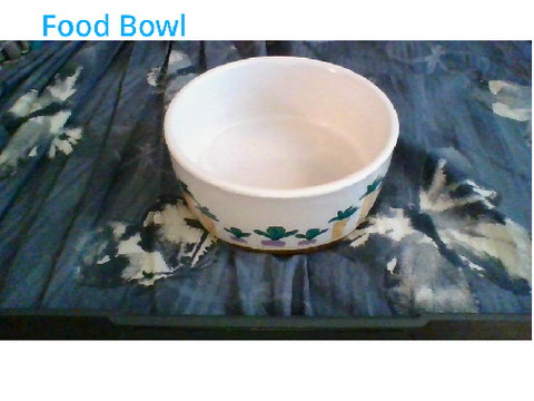 What I got for my rats!!!   :)