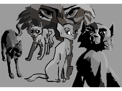Shadow practice