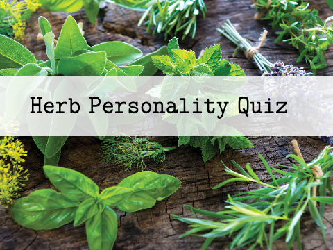 ✧ Which Herb Are You? ✧