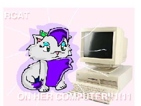rcat on her computer