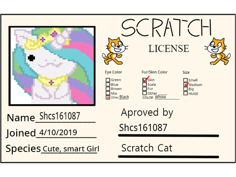 My Scratch License 