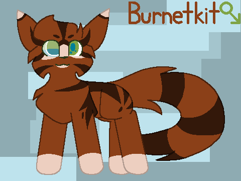 Beebee kits Litter 5 -Closed-