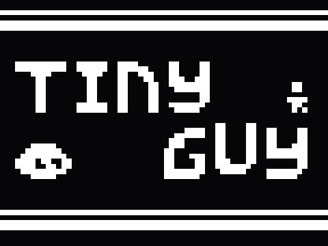 Tiny Guy  (a game)