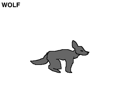 Animal Run Cycles