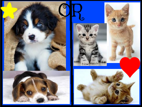 Dog or Cat ? remix