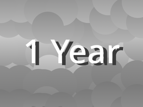 1 Year