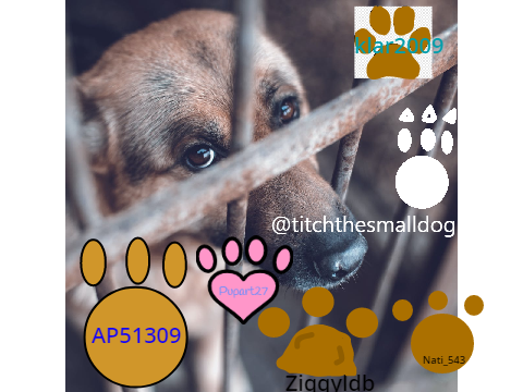 Add your paw to stop animal abuse remix remix remix