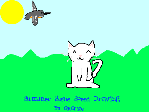 Summer Scene Speed Drawing