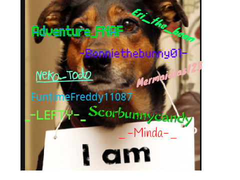 SIGN IF YOU ARE AGAINST ANIMAL ABUSE!!!! remix remix remix remix remix