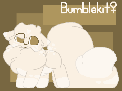 Beebee kits Litter 6 -Closed-