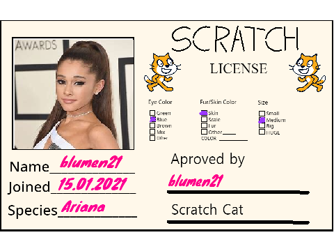 My Scratch License