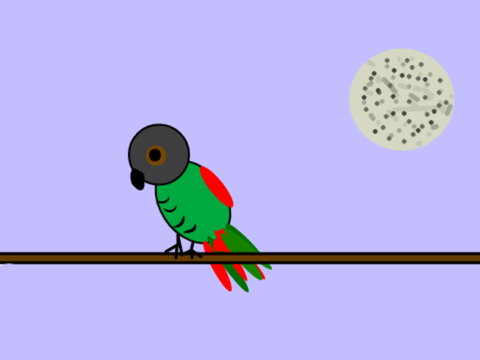 crazy bird art!