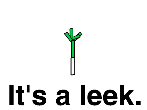 Leek Spin