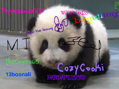 Sign if you are against PANDA POACHING!  remix remix remix remix