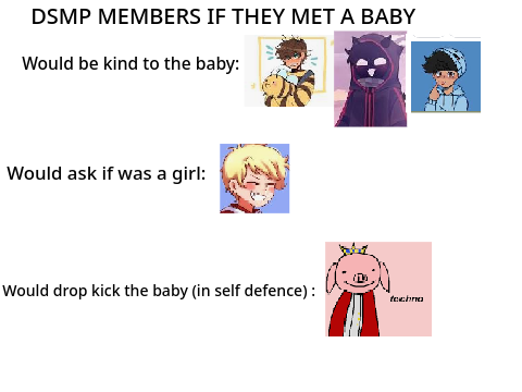 DSMP MEMBERS IF THEY MET A BABY
