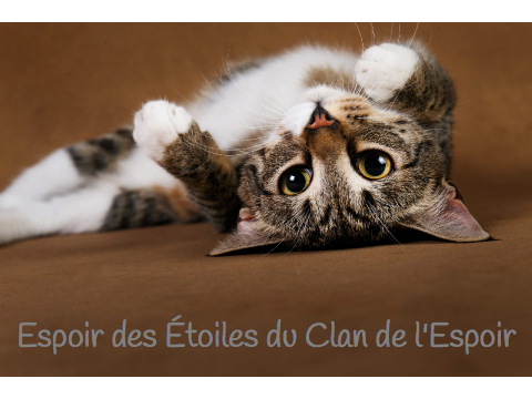 Clan de l'Espoir - Fiche Espoir des Étoiles