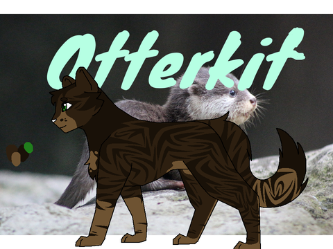 Otterkit! Bio