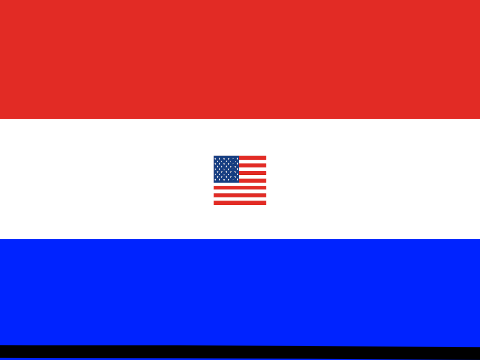 Flags a platformer series: America