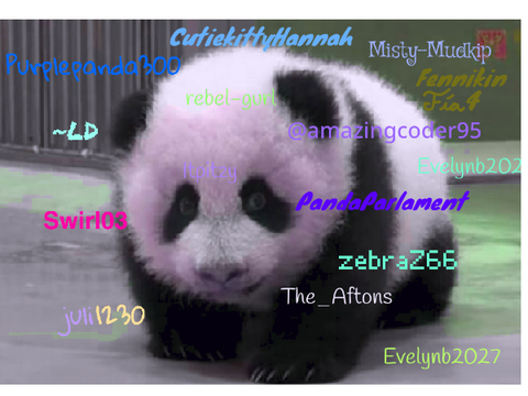 Sign if you are against PANDA POACHING! REMIX REMIX REMIX REMIX REMIX REMIX REMIX REMIX remix… remix