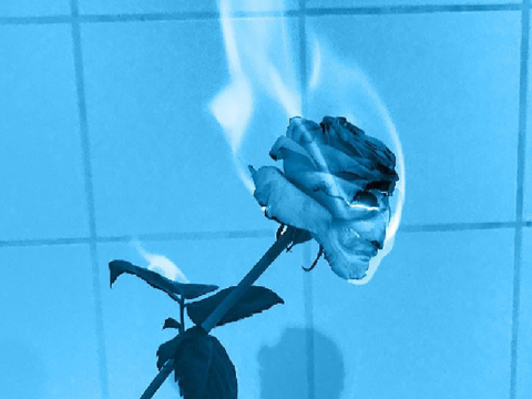 ~