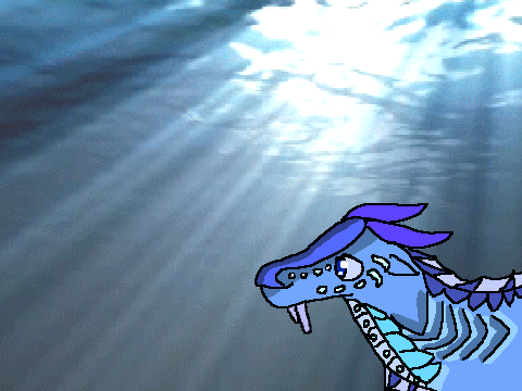 SeaWing Art