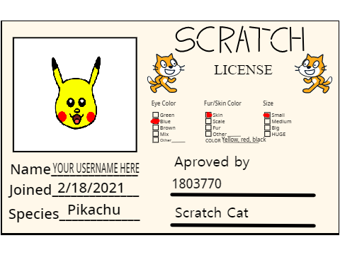 My Scratch License