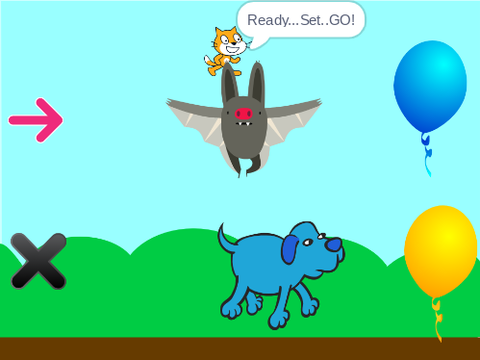 Animal Race