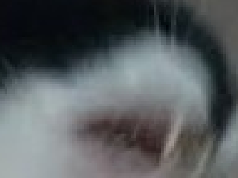 sus