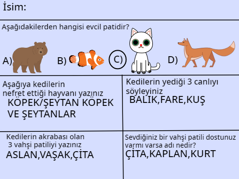 PATİLOJİ ÖDEVİM