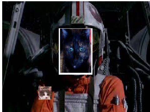 THE Force