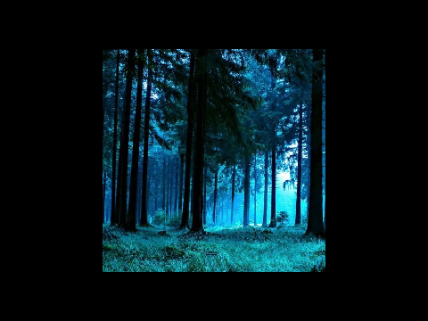 Chapter 1: the forest ep 2