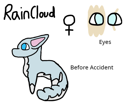 Raincloud Ref